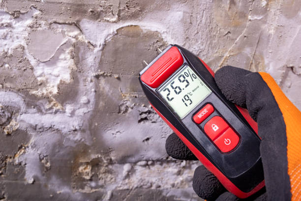 Best Toxic Mold Removal  in Schulenburg, TX