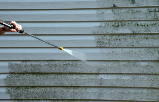 Best Commercial Mold Removal  in Schulenburg, TX