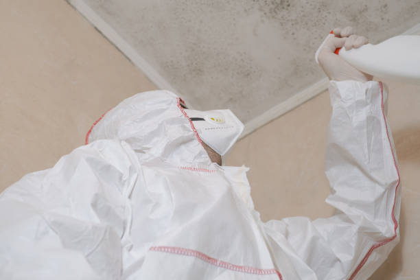 Best Attic Mold Removal  in Schulenburg, TX